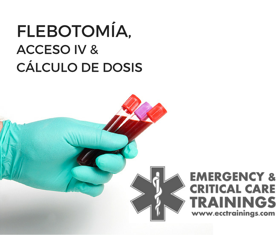 Flebotomia curso