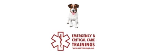 pet first aid ecctrainings