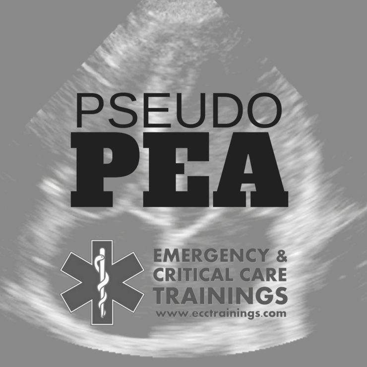 pseudo-pea ecctrainings