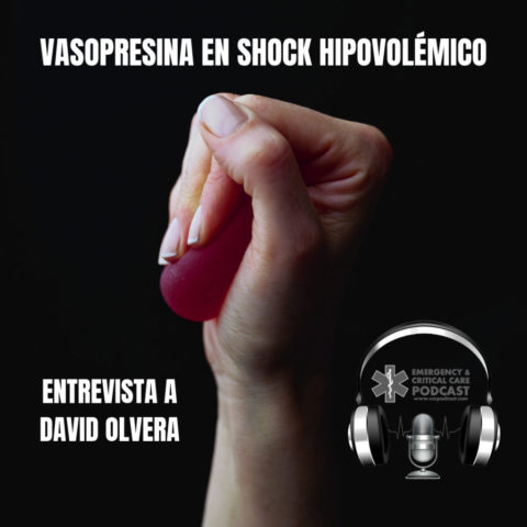 vasopresina en shock hipovolémico